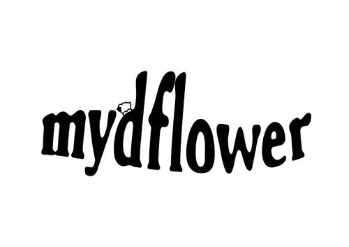 Mydflower | Elderflower Wine | 5.3% 250ml Can