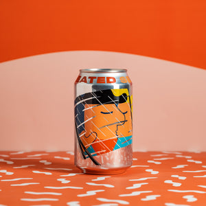 Mikkeller - Heated Seats Pale Ale 4.9% 330ml Can - all good beer.